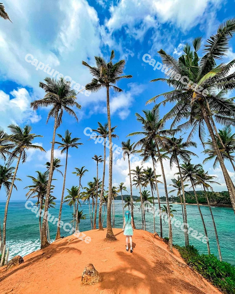 Small Island covered in palm trees